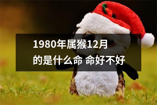 1980年属猴12月的是什么命命好不好