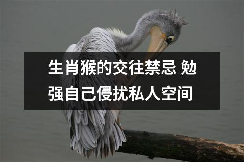 生肖猴的交往禁忌勉强自己侵扰私人空间