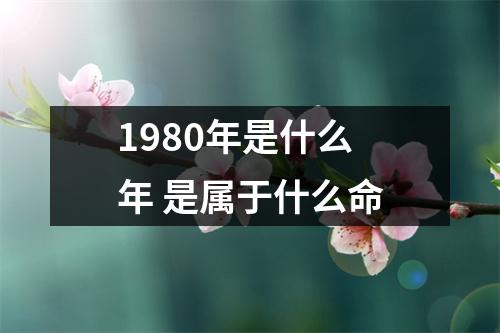 1980年是什么年是属于什么命