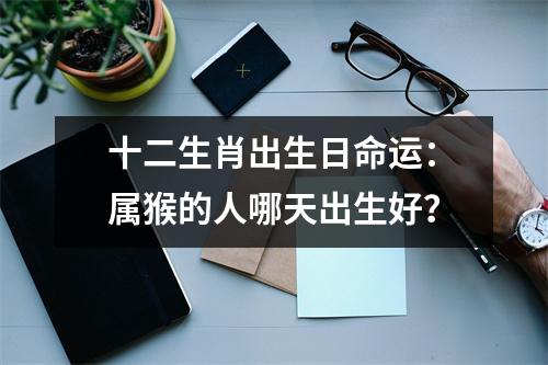 十二生肖出生日命运：属猴的人哪天出生好？