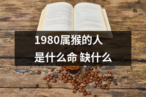 1980属猴的人是什么命缺什么