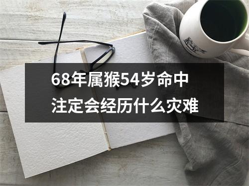 68年属猴54岁命中注定会经历什么灾难