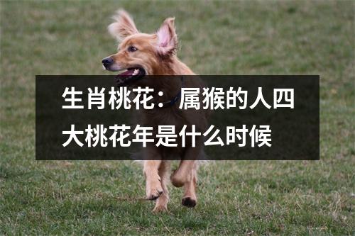 <h3>生肖桃花：属猴的人四大桃花年是什么时候