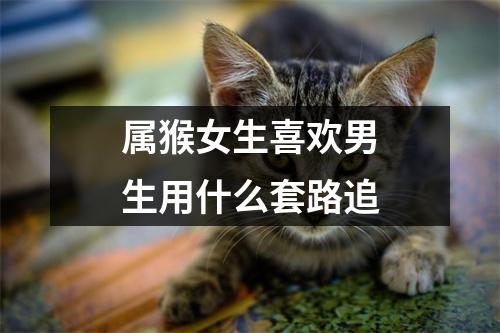 <h3>属猴女生喜欢男生用什么套路追