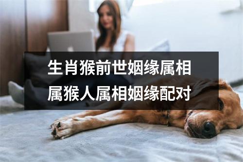 生肖猴前世姻缘属相属猴人属相姻缘配对