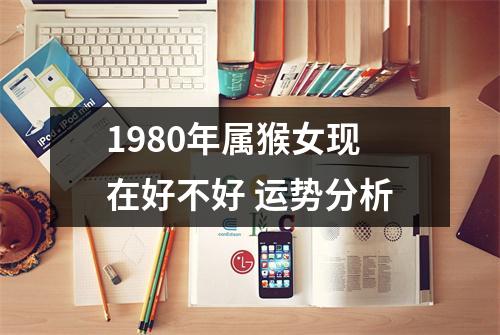 1980年属猴女现在好不好运势分析