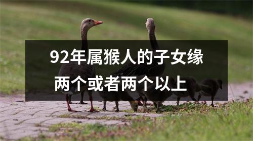 92年属猴人的子女缘两个或者两个以上