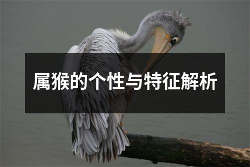 属猴的个性与特征解析