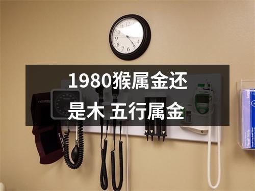 1980猴属金还是木五行属金