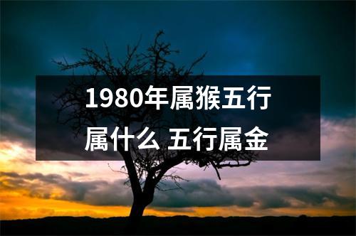 1980年属猴五行属什么五行属金