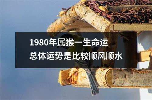 1980年属猴一生命运总体运势是比较顺风顺水