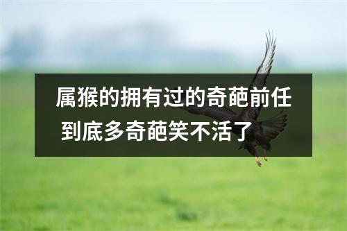 属猴的拥有过的奇葩前任到底多奇葩笑不活了
