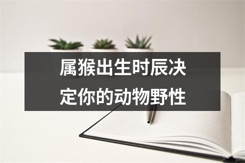 属猴出生时辰决定你的动物野性