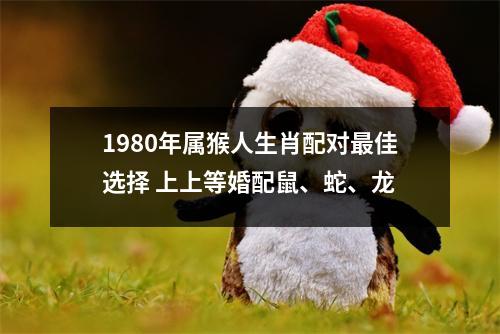 1980年属猴人生肖配对佳选择上上等婚配鼠、蛇、龙