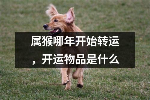 属猴哪年开始转运，开运物品是什么