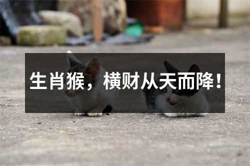 <h3>生肖猴，横财从天而降！