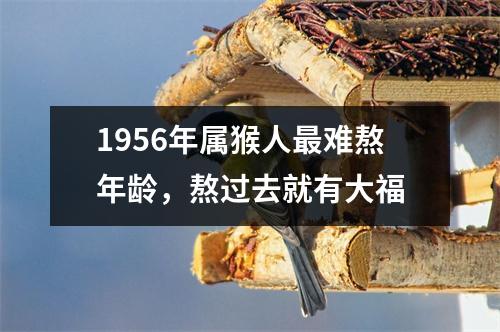 1956年属猴人难熬年龄，熬过去就有大福