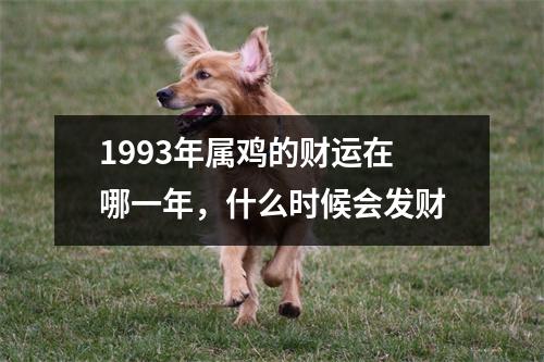 1993年属鸡的财运在哪一年，什么时候会发财