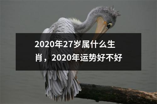 2025年27岁属什么生肖，2025年运势好不好