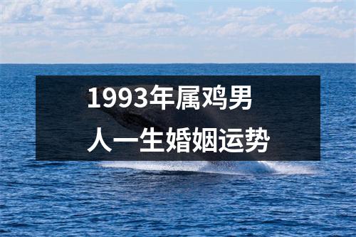 1993年属鸡男人一生婚姻运势