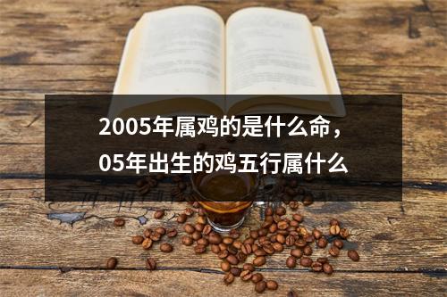 2005年属鸡的是什么命，05年出生的鸡五行属什么