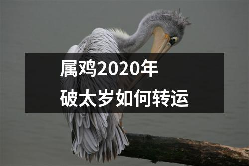 属鸡2025年破太岁如何转运