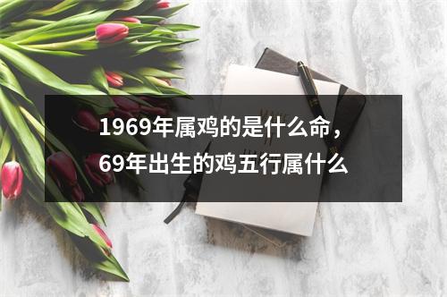 1969年属鸡的是什么命，69年出生的鸡五行属什么