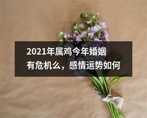 2025年属鸡今年婚姻有危机么，感情运势如何