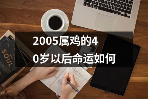 2005属鸡的40岁以后命运如何