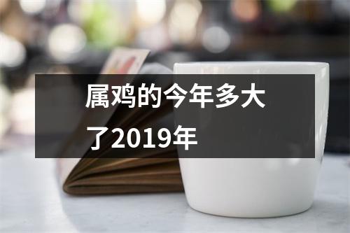 属鸡的今年多大了2019年