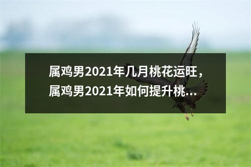 <h3>属鸡男2025年几月桃花运旺，属鸡男2025年如何提升桃花运