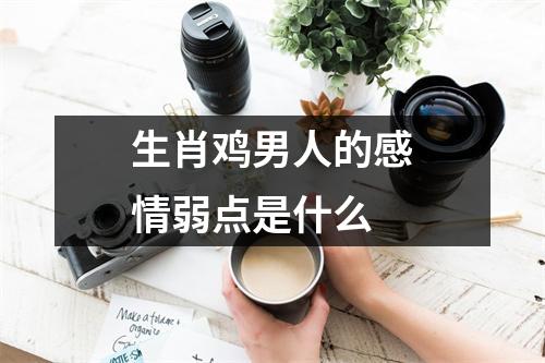 生肖鸡男人的感情弱点是什么