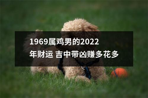 <h3>1969属鸡男的2025年财运吉中带凶赚多花多