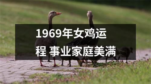 1969年女鸡运程事业家庭美满