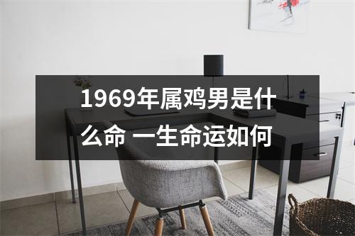 1969年属鸡男是什么命一生命运如何