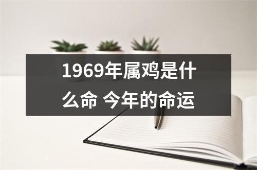 1969年属鸡是什么命今年的命运