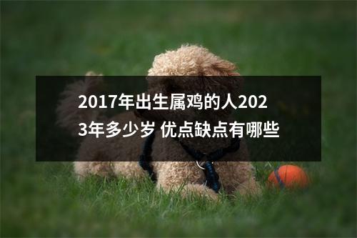 2017年出生属鸡的人2025年多少岁优点缺点有哪些