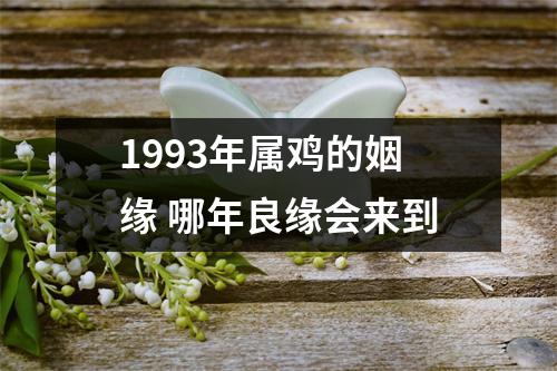 1993年属鸡的姻缘哪年良缘会来到