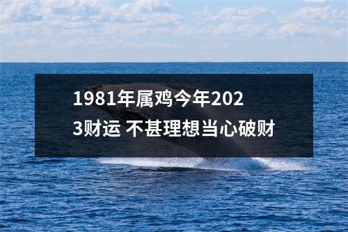 1981年属鸡今年2025财运不甚理想当心破财