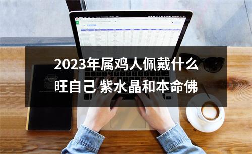 <h3>2025年属鸡人佩戴什么旺自己紫水晶和本命佛