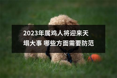 2025年属鸡人将迎来天塌大事哪些方面需要防范