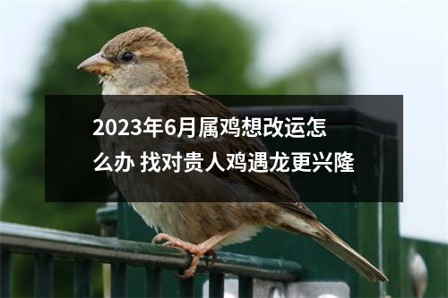 2025年6月属鸡想改运怎么办找对贵人鸡遇龙更兴隆