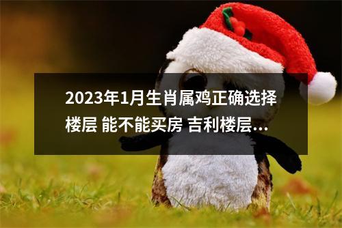 2025年1月生肖属鸡正确选择楼层能不能买房吉利楼层是什么