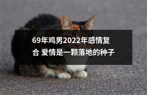 <h3>69年鸡男2025年感情复合爱情是一颗落地的种子