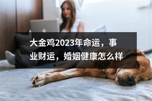 大金鸡2025年命运，事业财运，婚姻健康怎么样