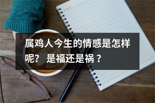 属鸡人今生的情感是怎样呢？是福还是祸？