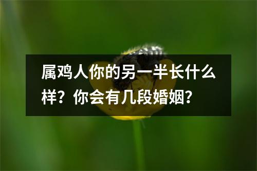 属鸡人你的另一半长什么样？你会有几段婚姻？