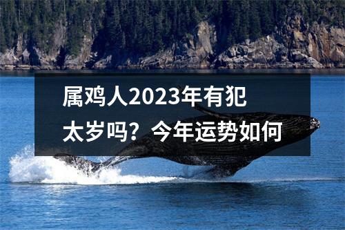 属鸡人2025年有犯太岁吗？今年运势如何