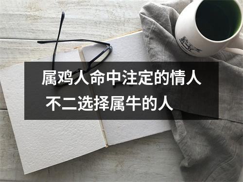 属鸡人命中注定的情人不二选择属牛的人