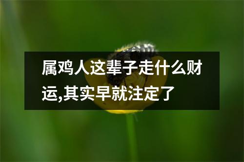 <h3>属鸡人这辈子走什么财运,其实早就注定了